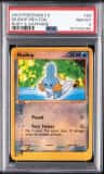 Mudkip