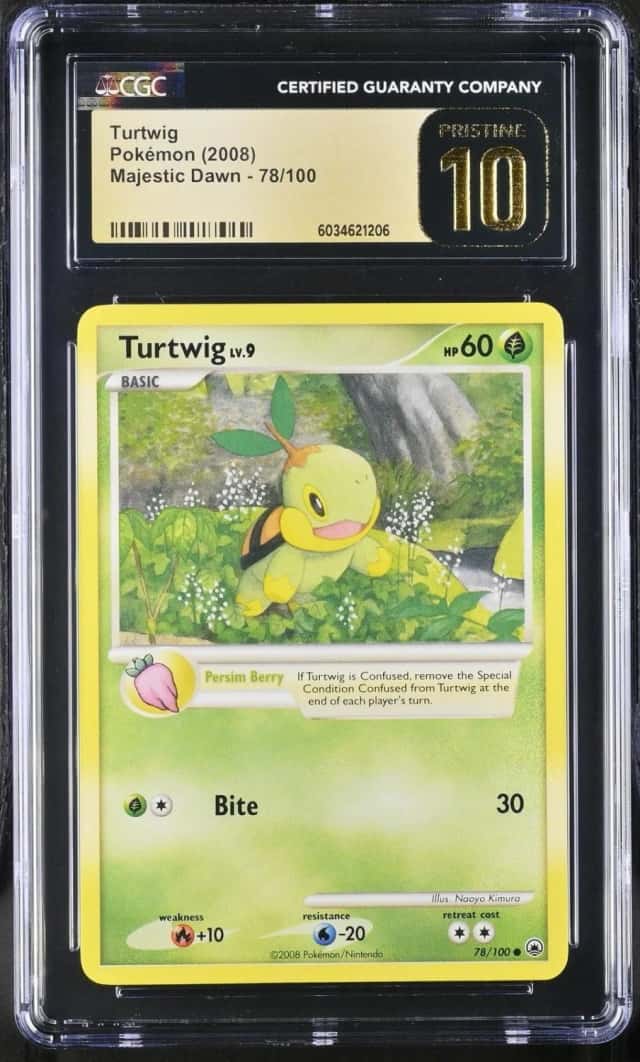 Turtwig