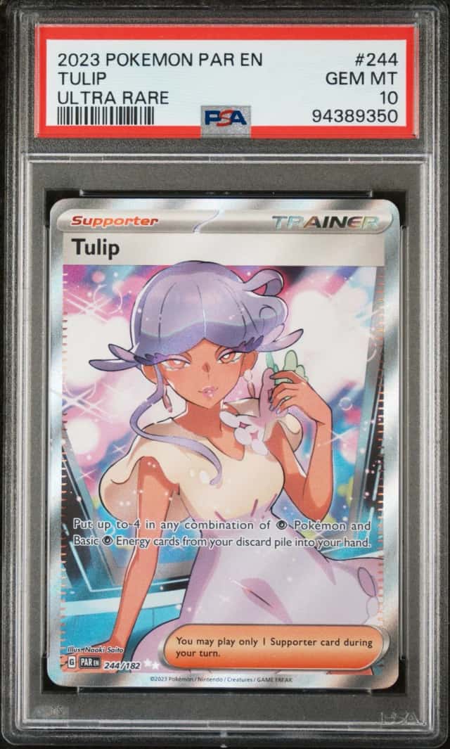 Tulip