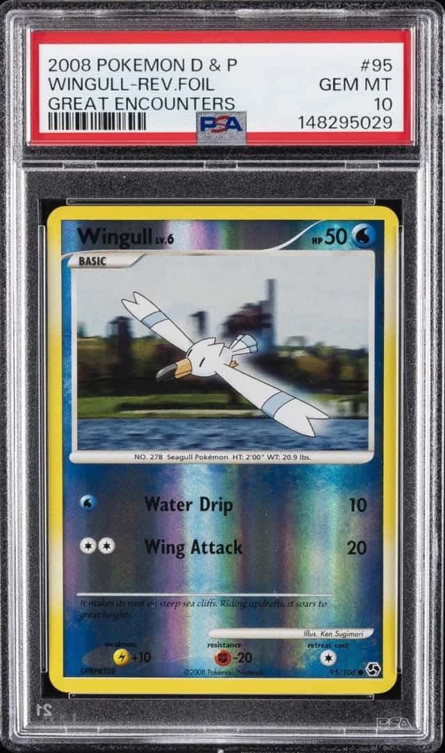 WINGULL-REV.FOIL