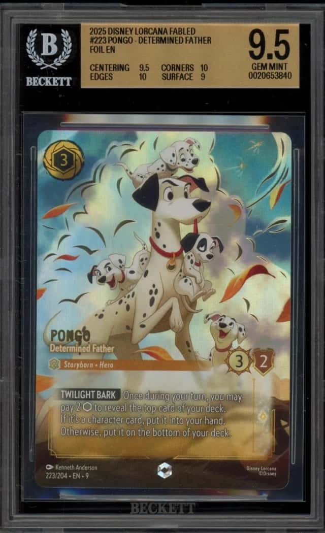 Pongo