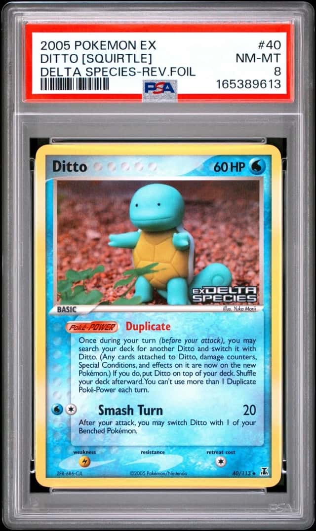 Ditto [Squirtle]