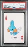 Mudkip