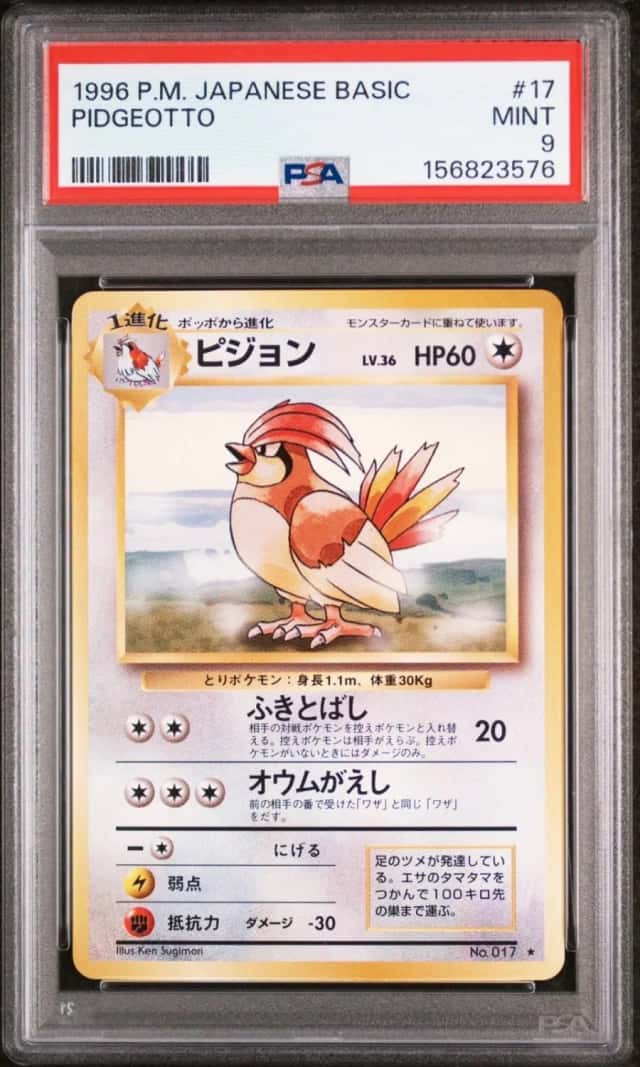 Pidgeotto