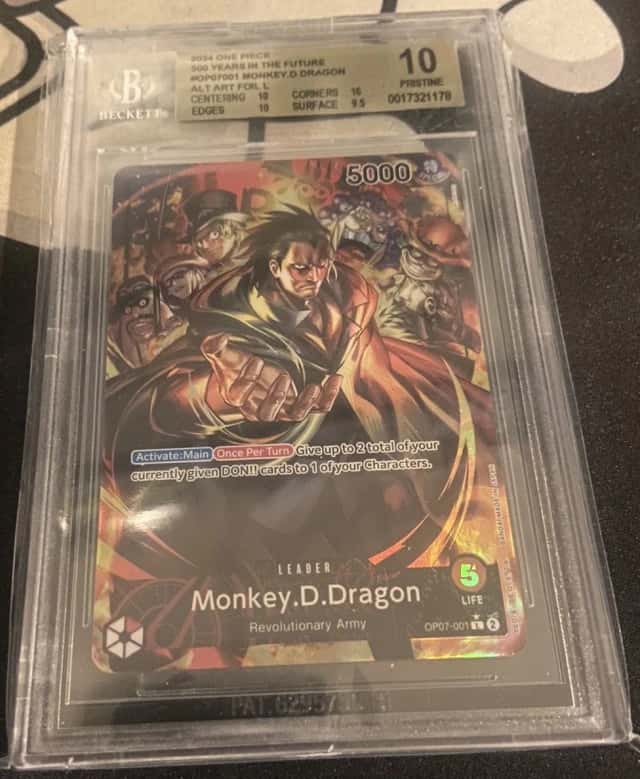 Monkey D. Dragon
