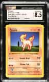 Ponyta