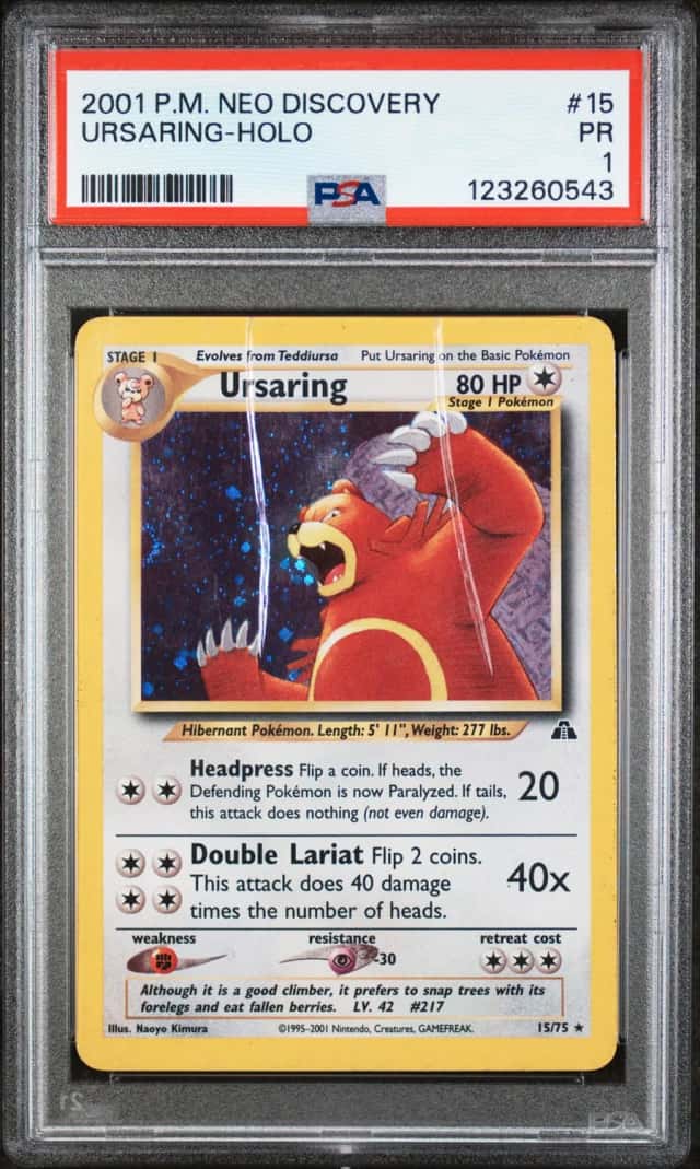 Ursaring