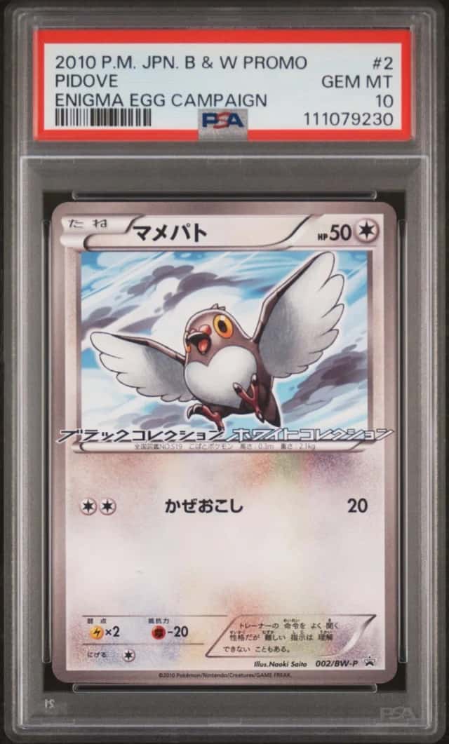 Pidove