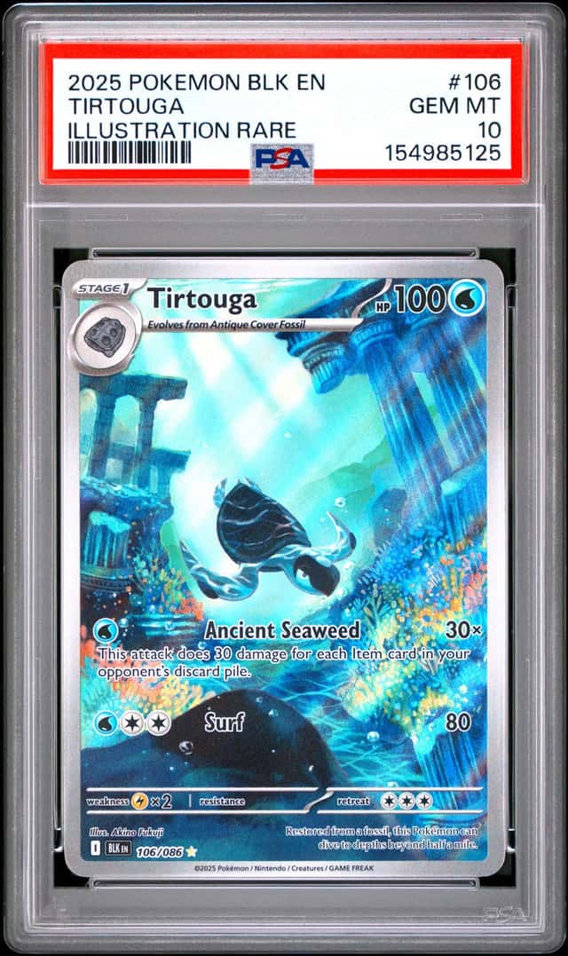 Tirtouga