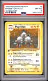 Magneton