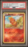 Torchic