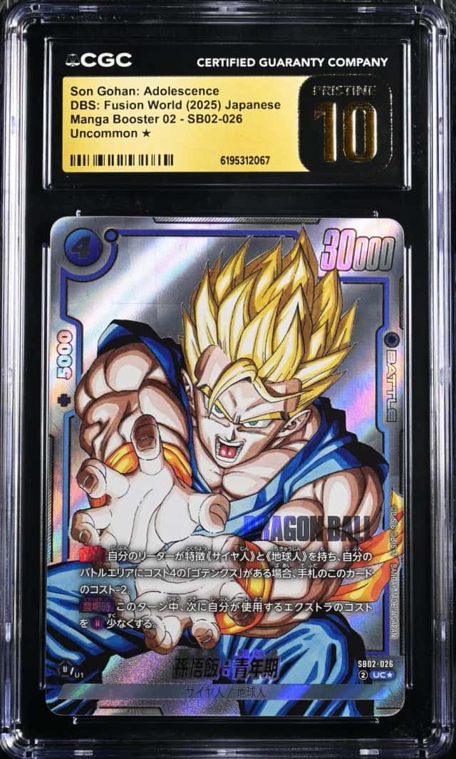 Son Gohan: Adolescence