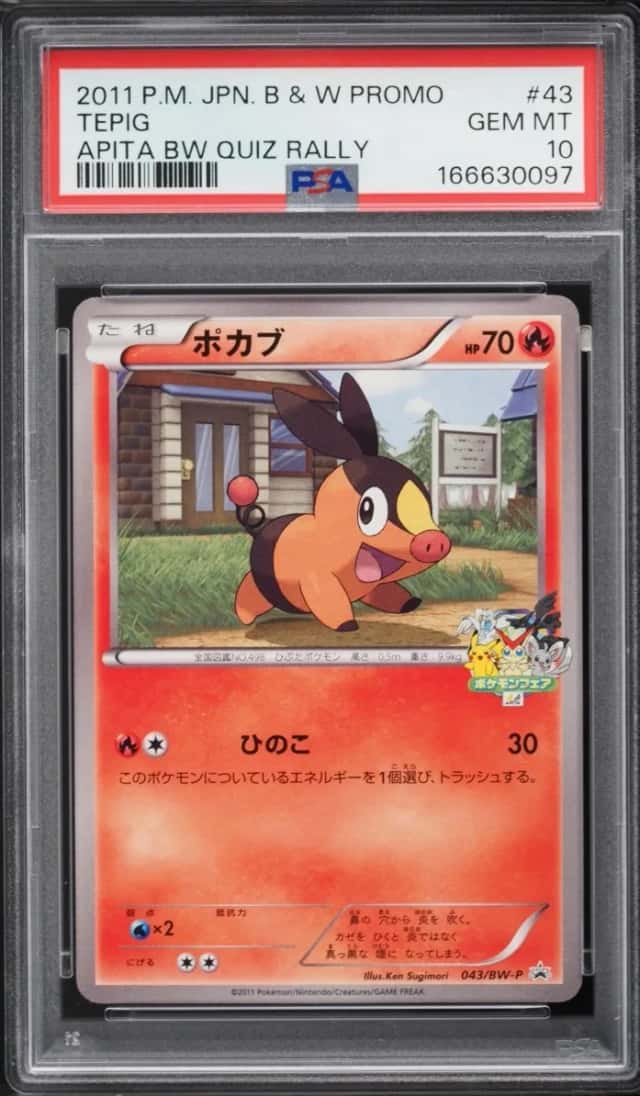 Tepig