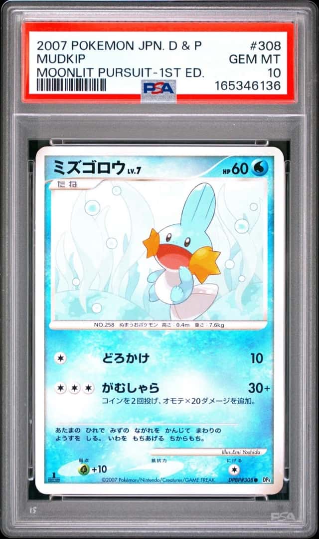 Mudkip