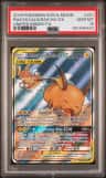 Raichu & Alolan Raichu Gx