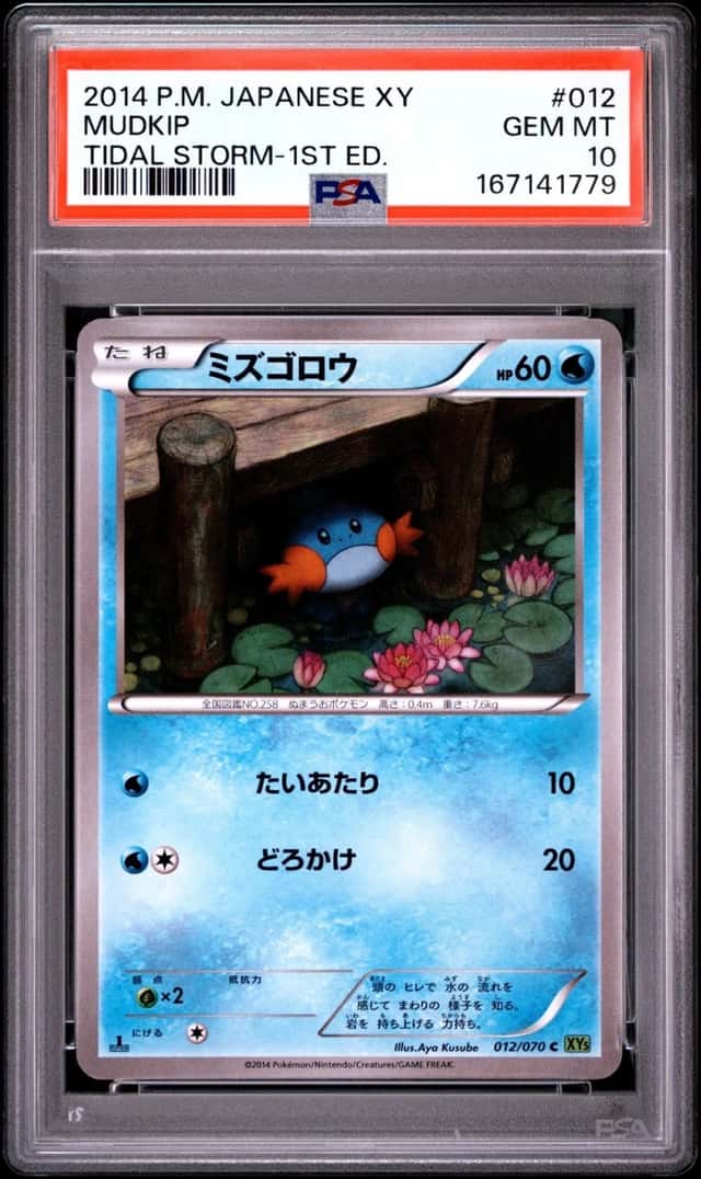 Mudkip