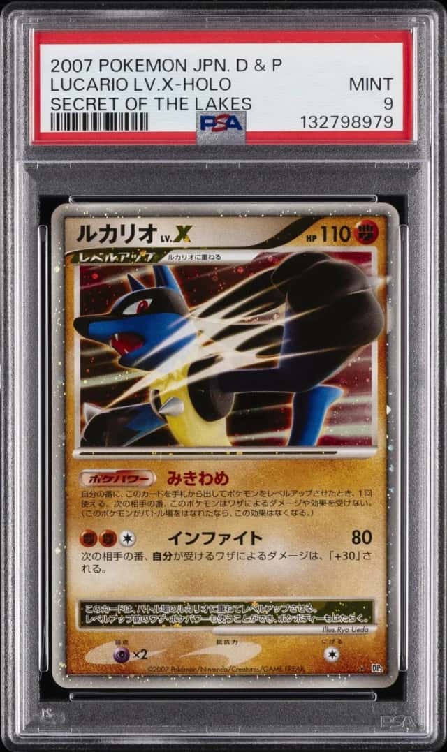 LUCARIO LV.X
