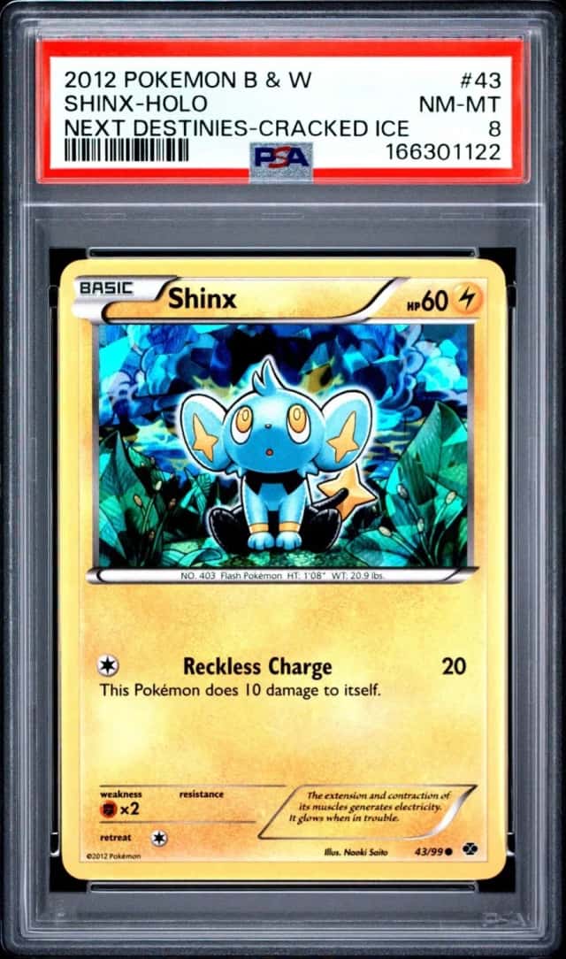 Shinx
