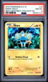 Shinx