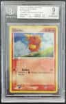 Torchic