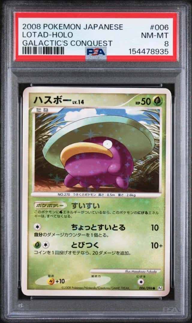 Lotad