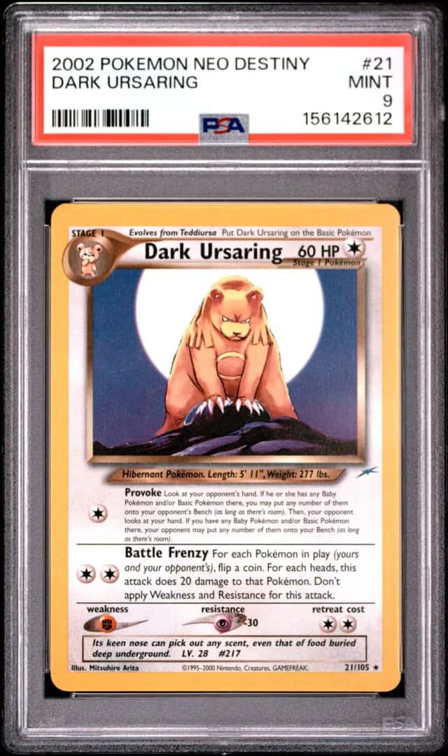 Dark Ursaring
