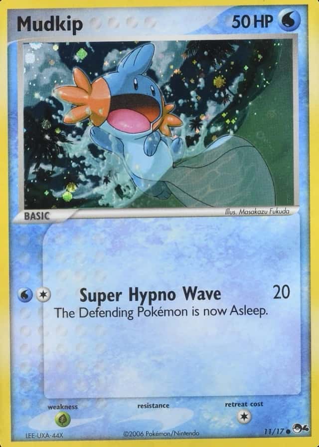 Holo