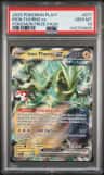 Iron Thorns Ex