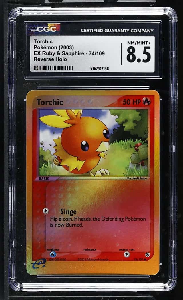 Torchic
