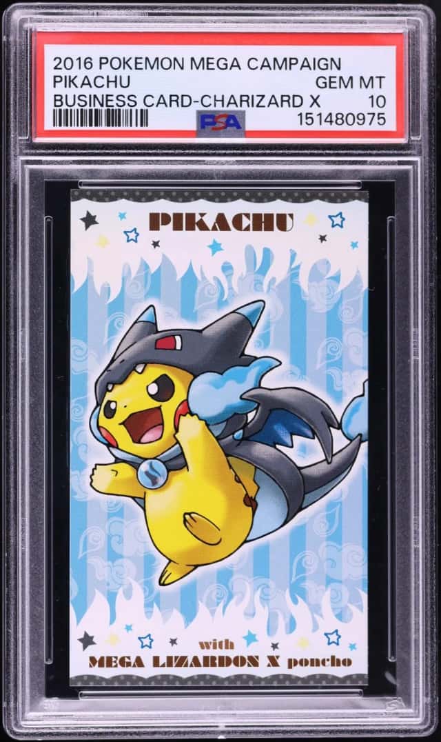 Pncho