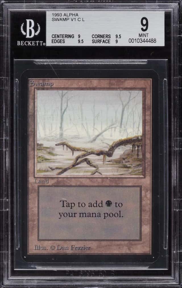 Swamp
