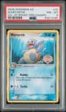 Wartortle