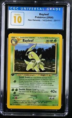 Bayleef
