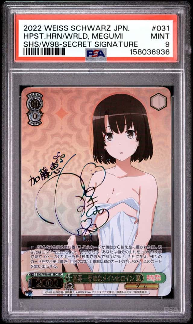 HPST.HRN/WRLD, MEGUMI