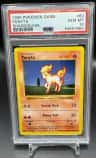 Ponyta