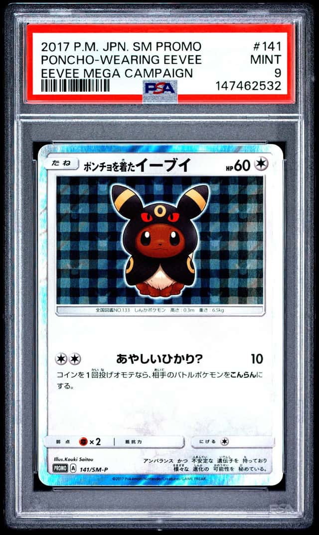 Poncho-wearing Eevee