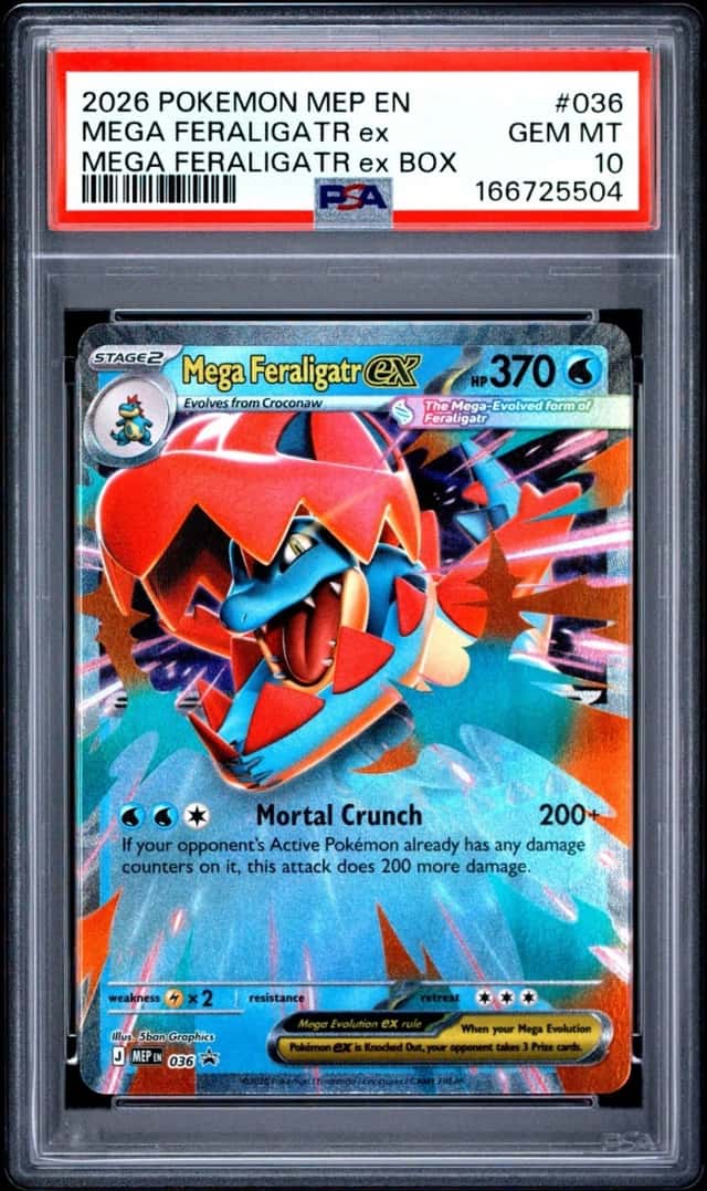 MEGA FERALIGATR ex