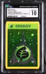 Grass Energy
