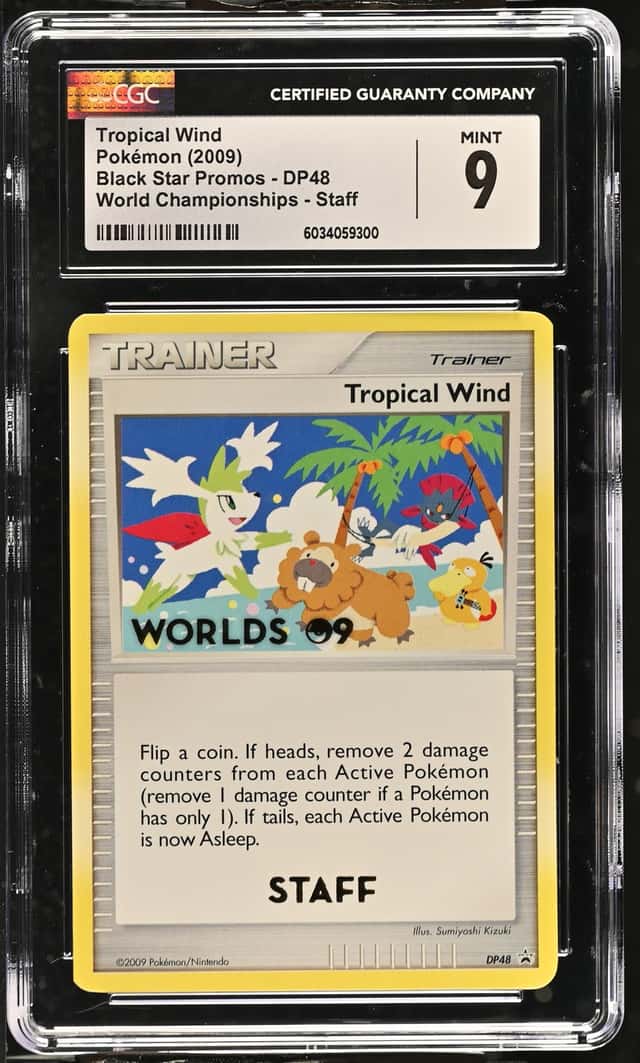 Tropical Wind