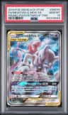 Mewtwo & Mew Gx