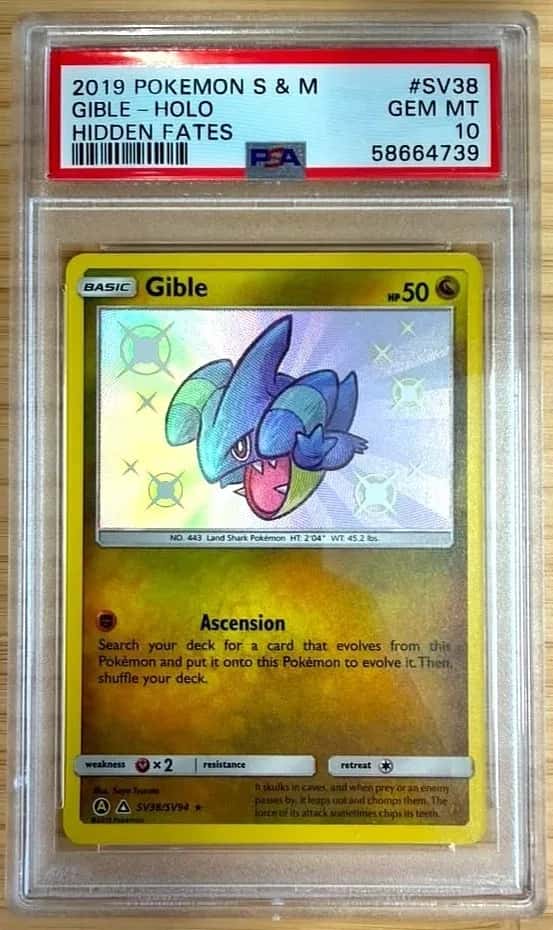 Gible