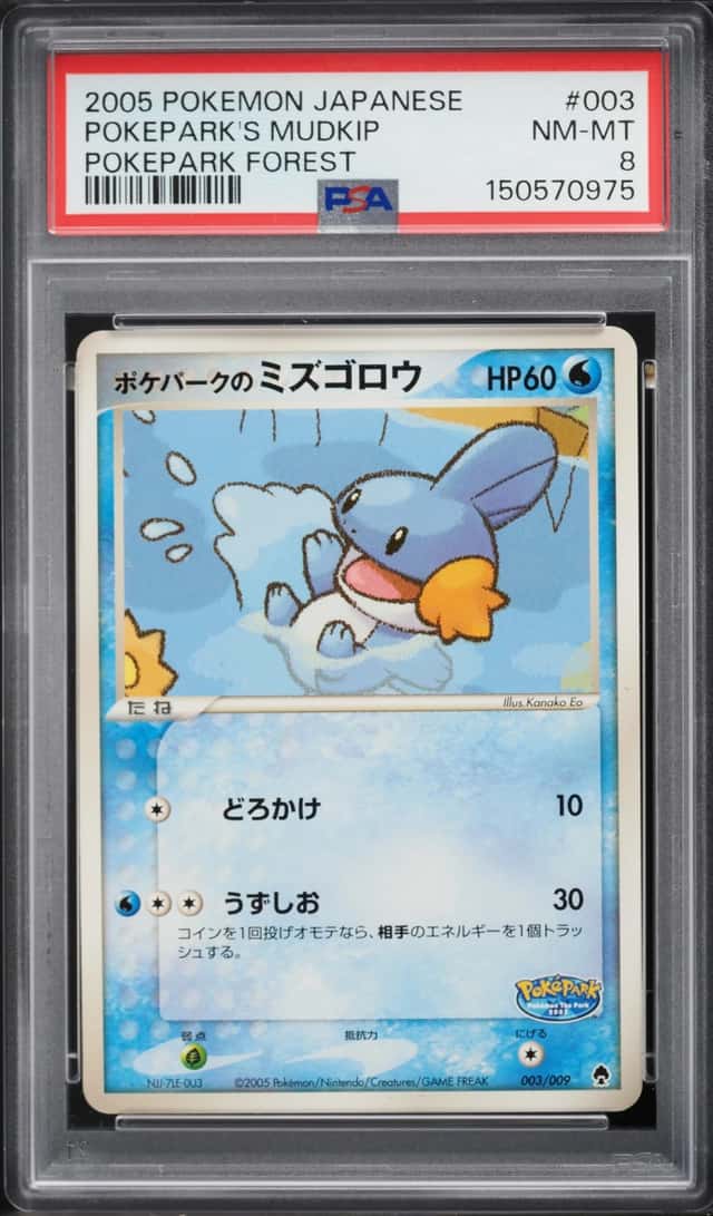Pokepark's Mudkip