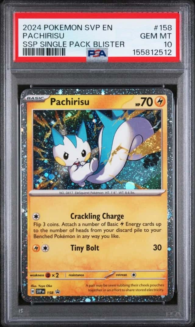 Pachirisu