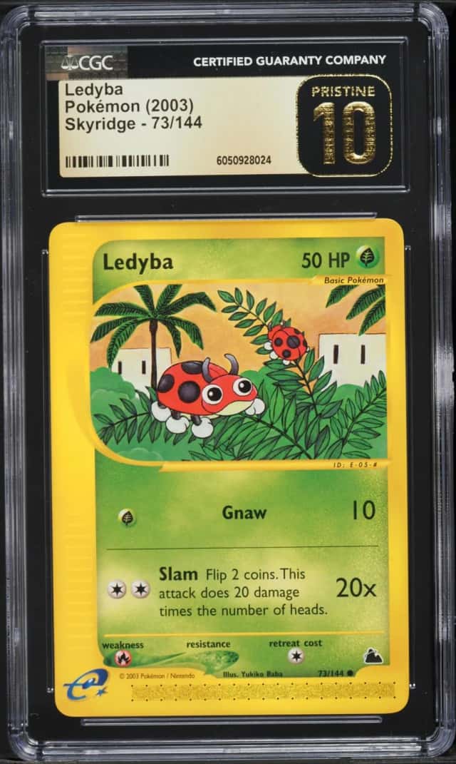 Ledyba
