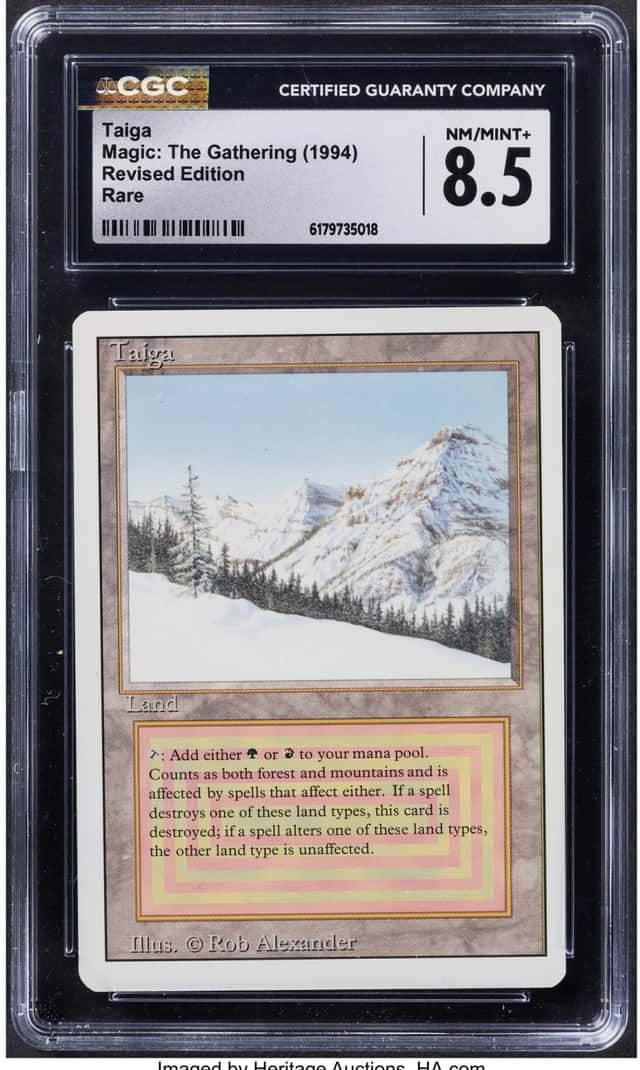 Taiga