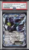 Tornadus Ex