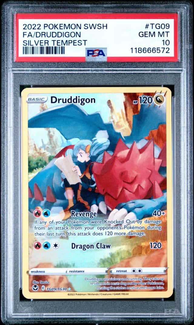 Druddigon