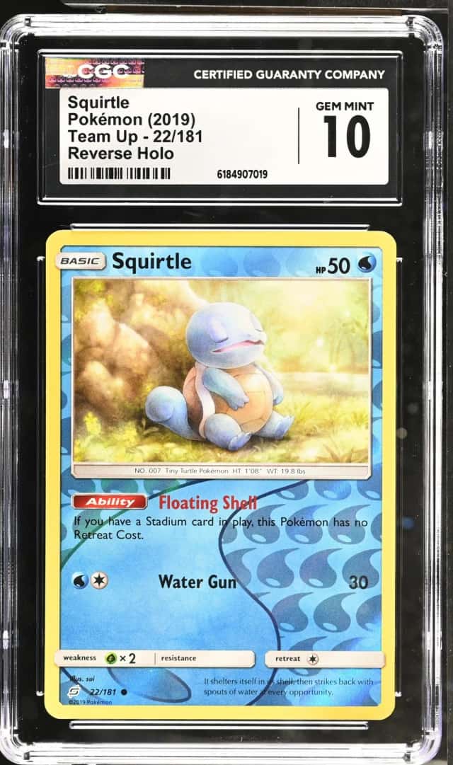 Squirtle