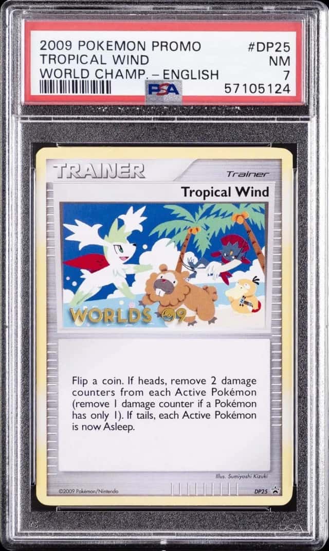 Tropical Wind