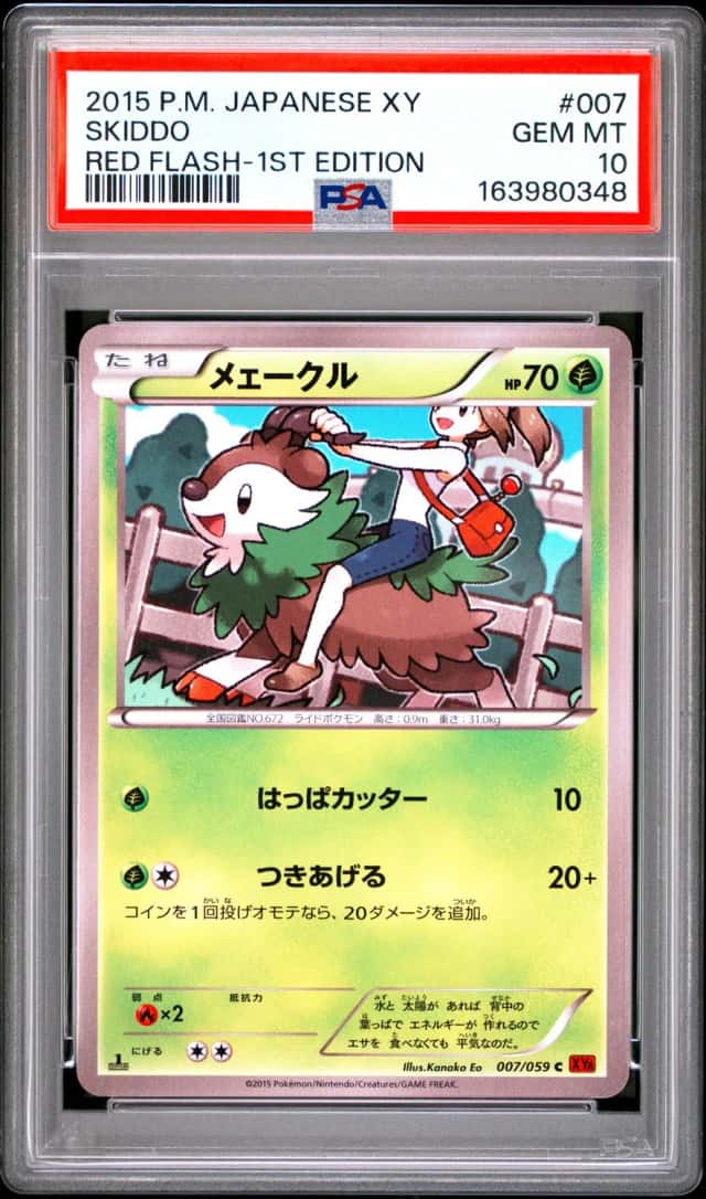 Skiddo